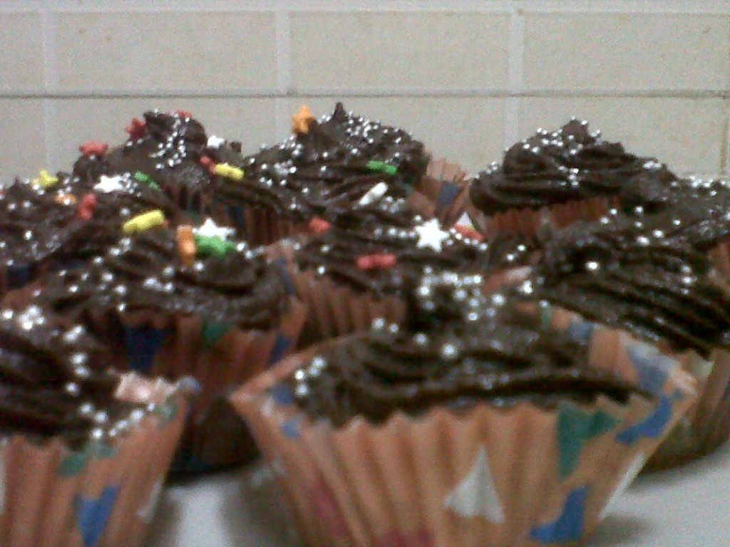 Chocolate Cupcake with Chocolate Fudge Frosting